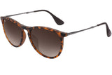 Foldies Polarized Folding Milanos | Matte Tortoise / Gradient